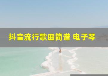 抖音流行歌曲简谱 电子琴